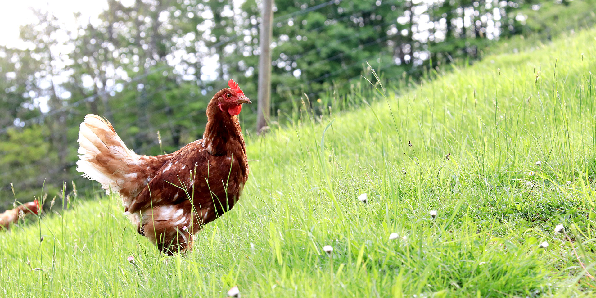 „Rund ums Paradies.“